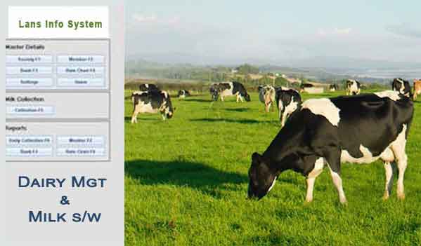 milk dairy software system lans info system
